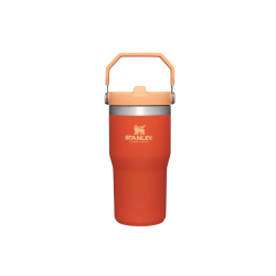 Termo Stanley 20 oz